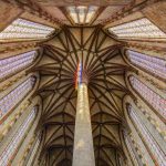 Palmier Couvent des Jacobins